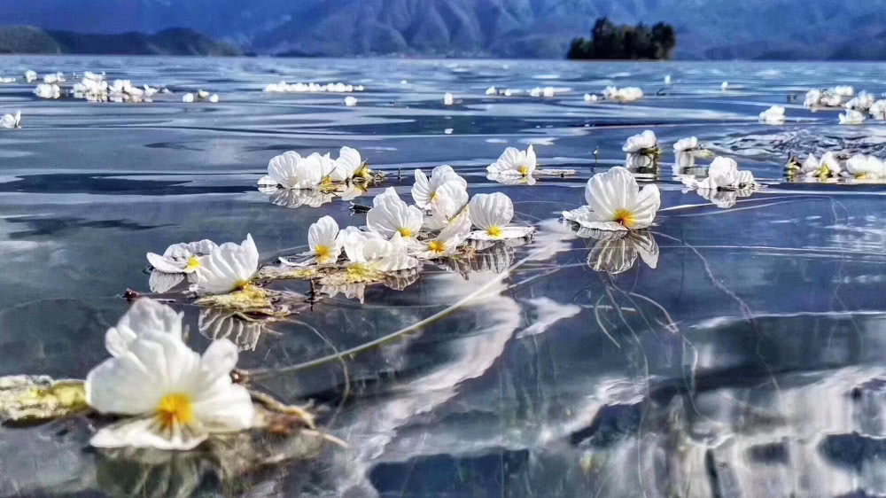 水性楊花9.jpg